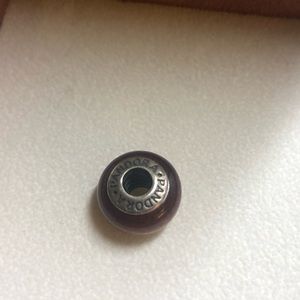 Wood pandora bead